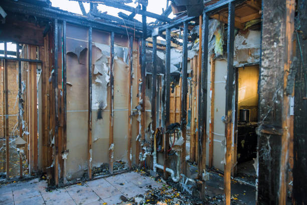 Professional Odor Removal technician working in Sweet Home, OR